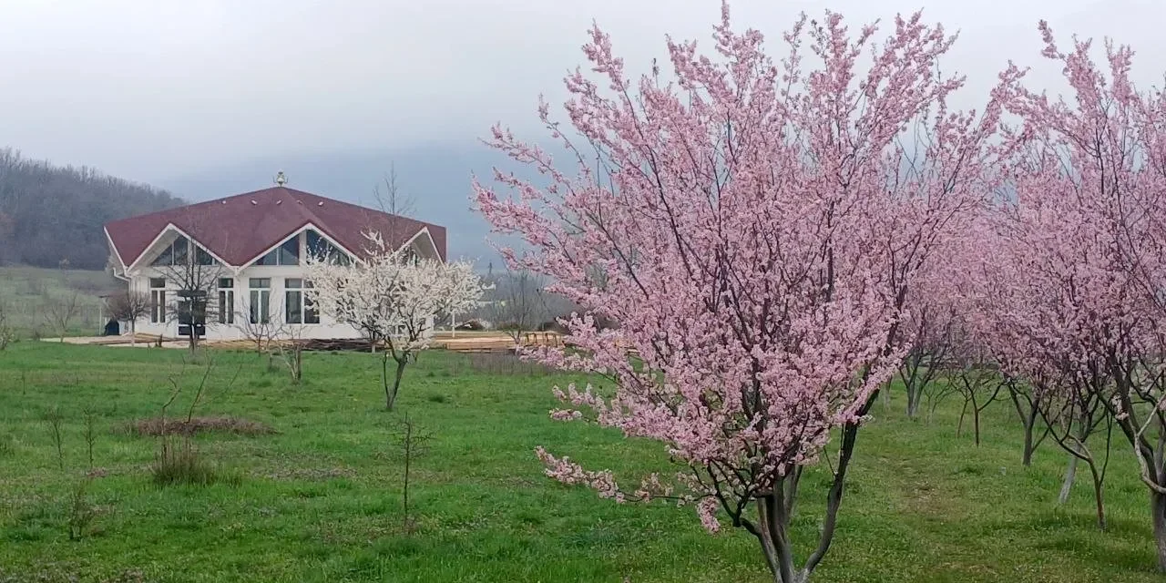 Spring-Summer Season at Kunsangar South