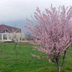 Spring-Summer Season at Kunsangar South