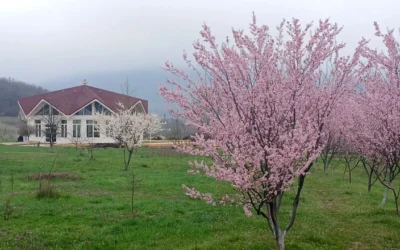 Spring-Summer Season at Kunsangar South