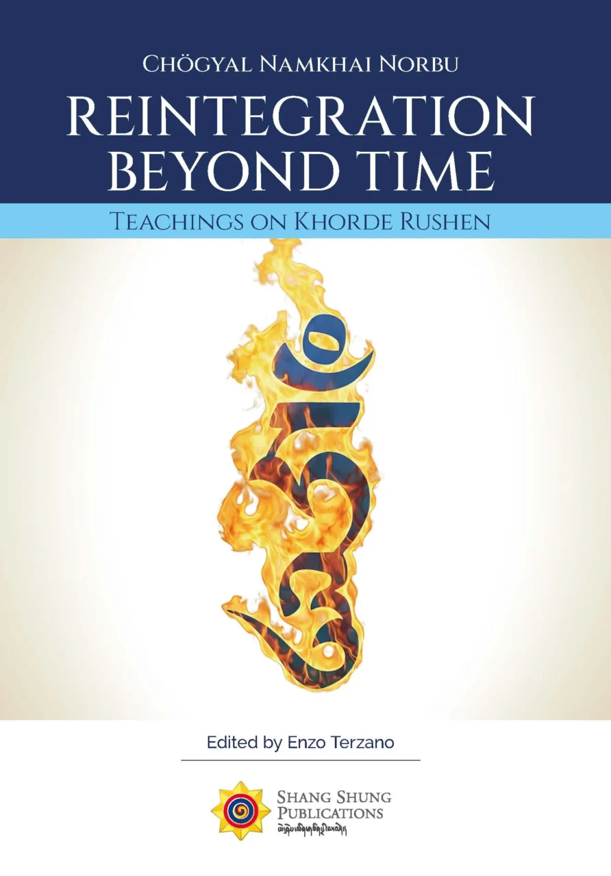 SSP_cover_reintegration beyond time