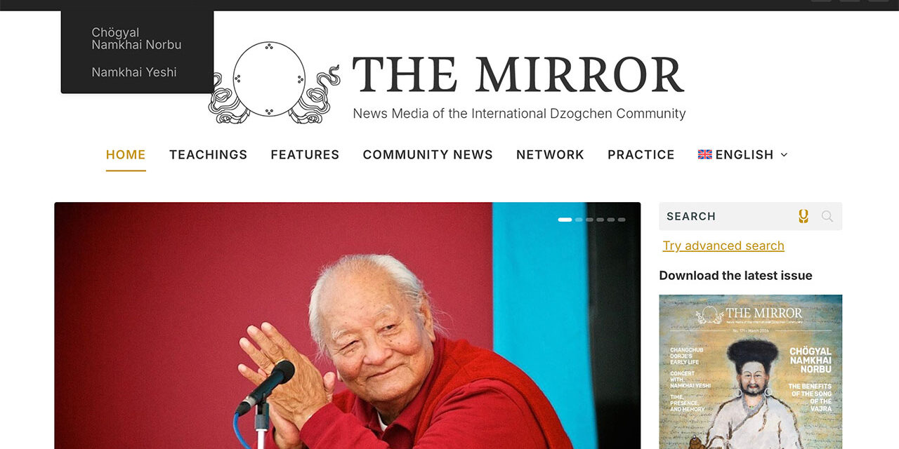 Discover the Features of Our New Website
