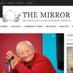 Discover the Features of Our New Website