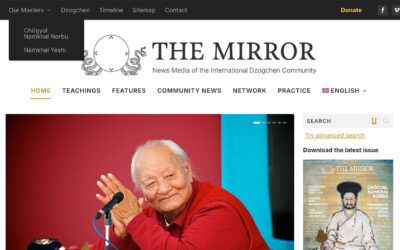 Discover the Features of Our New Website