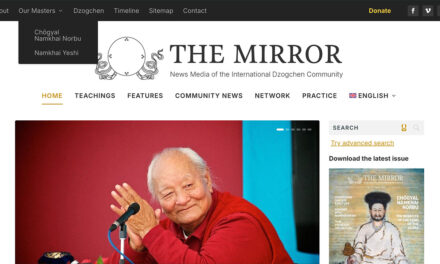 Discover the Features of Our New Website