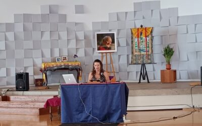 Two Courses with Julia Lawless at Dzamling Gar