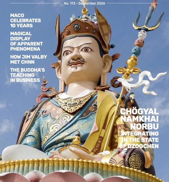 Il numero 173 di The Mirror è ora disponibile online