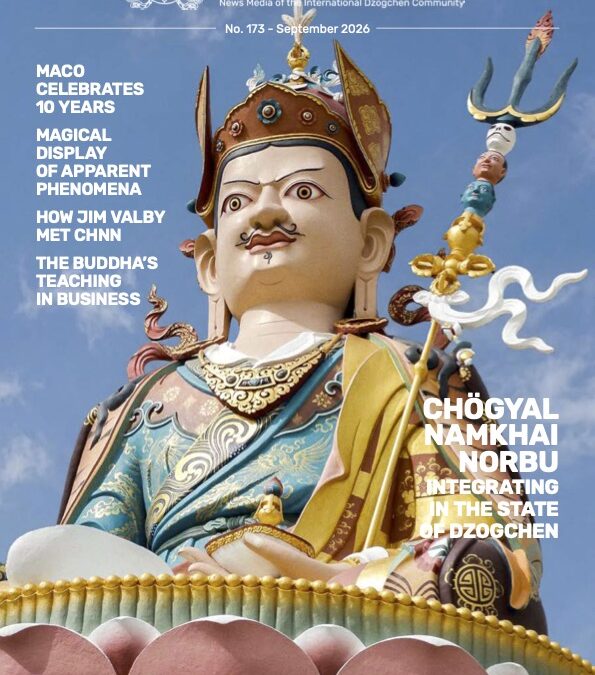 Il numero 173 di The Mirror è ora disponibile online
